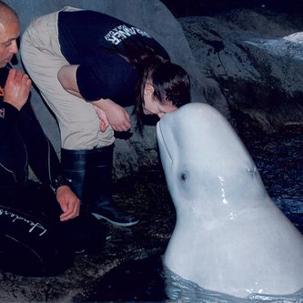 Megan Shields avatar image