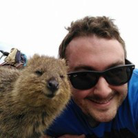 Stefan Sedich avatar image