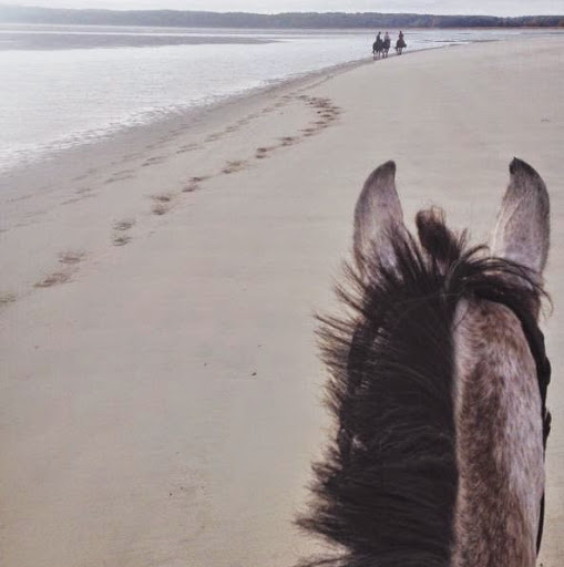 Teresa Fang avatar image