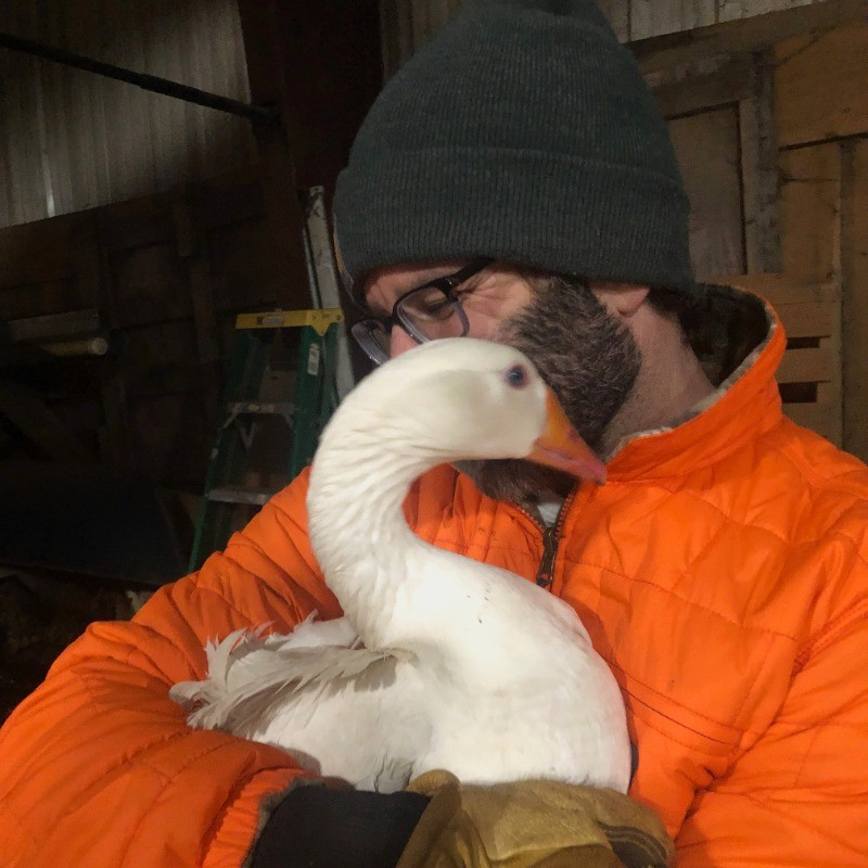 Matthew Laffer avatar image