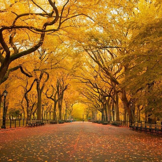 Lexi Eisenberg avatar image