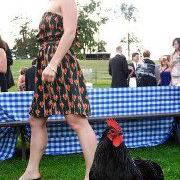 Eve Weinberg avatar image