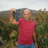 Oded Shoham avatar image