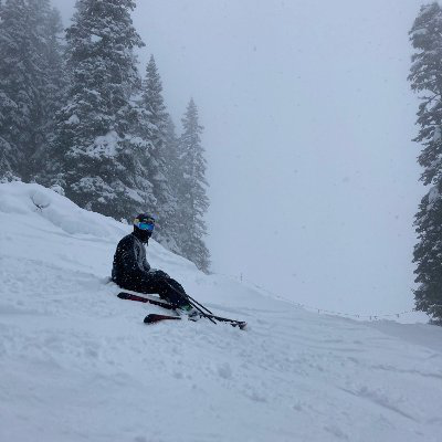 Timothy Roy avatar image