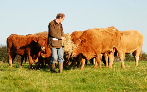 Yaron Peled avatar image