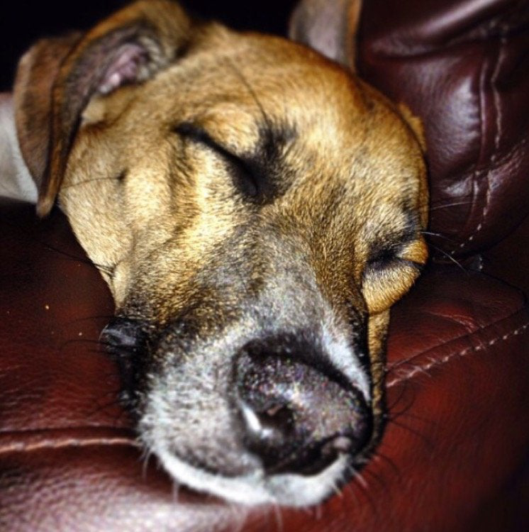 Joshua Rosen avatar image