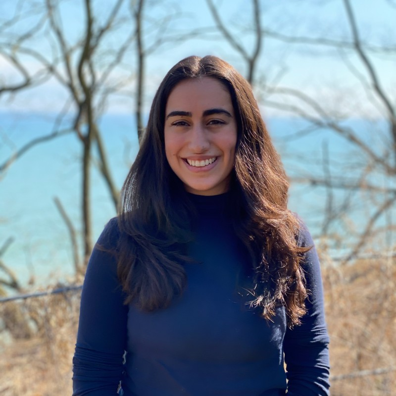 Rebeca Camhi avatar image