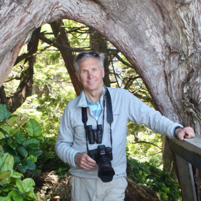 Jim Rae avatar image