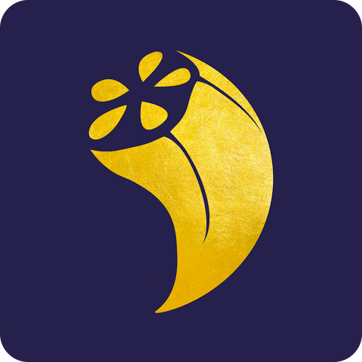 Ahmad Bamieh avatar image