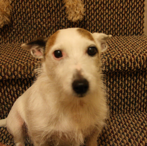 Nick Petros avatar image