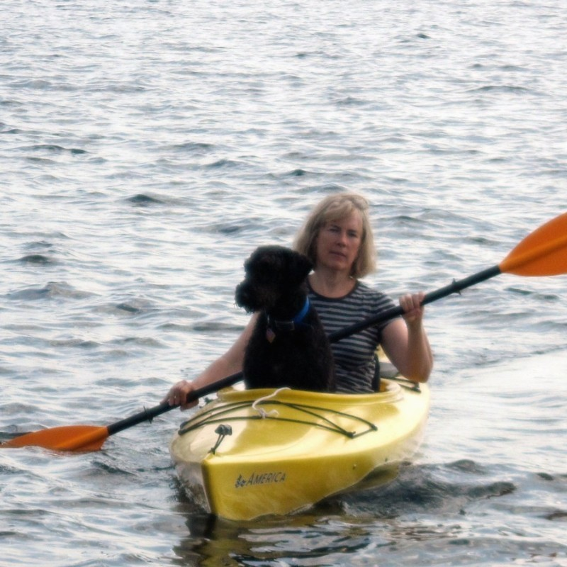 Susan Sandoe avatar image