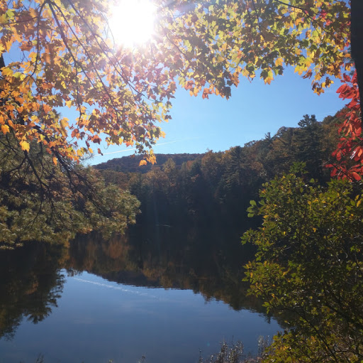 Leanne Eicoff avatar image