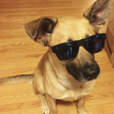 Neil Shah avatar image