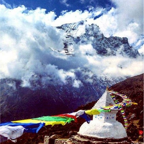 Steve Tancred avatar image