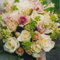 Karla Laird avatar image