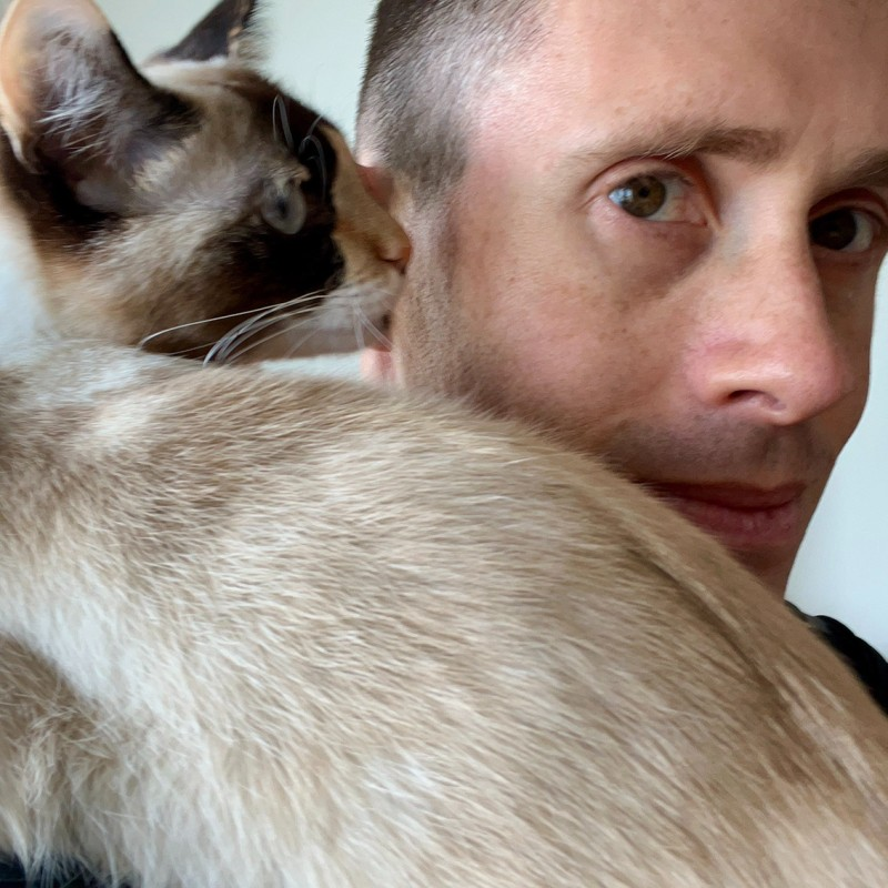 Seva Safris avatar image