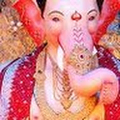 Sujata Chitnis avatar image