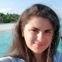 Ori Allon avatar image