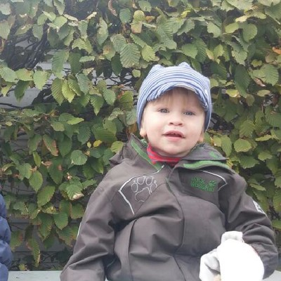 Holger Schiebel avatar image