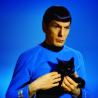 Kim Miller avatar image