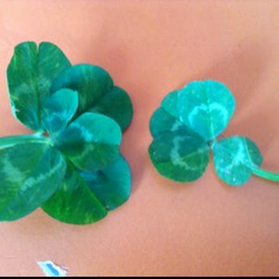 Lisa Wade avatar image