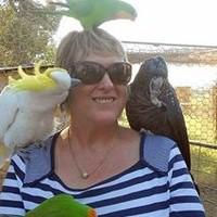 Julie Cartwright avatar image