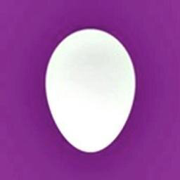 Erin Ptáček avatar image