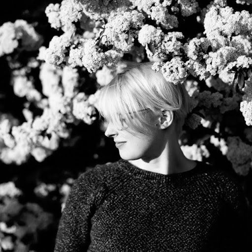 Addison Cole avatar image