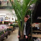 Harry Ledley avatar image