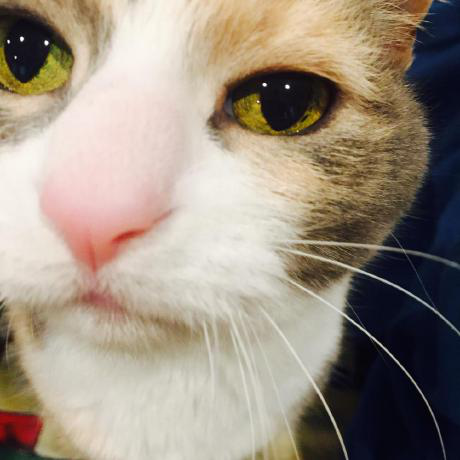 Marielle Foster avatar image