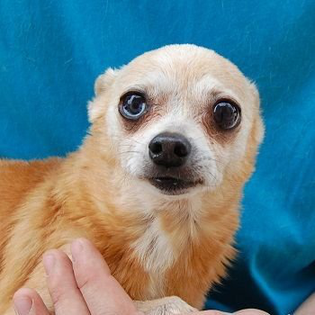 Walter Rumsby avatar image