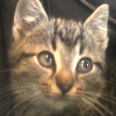 Jade Keena avatar image