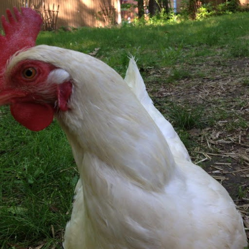 Brian Hafferkamp avatar image