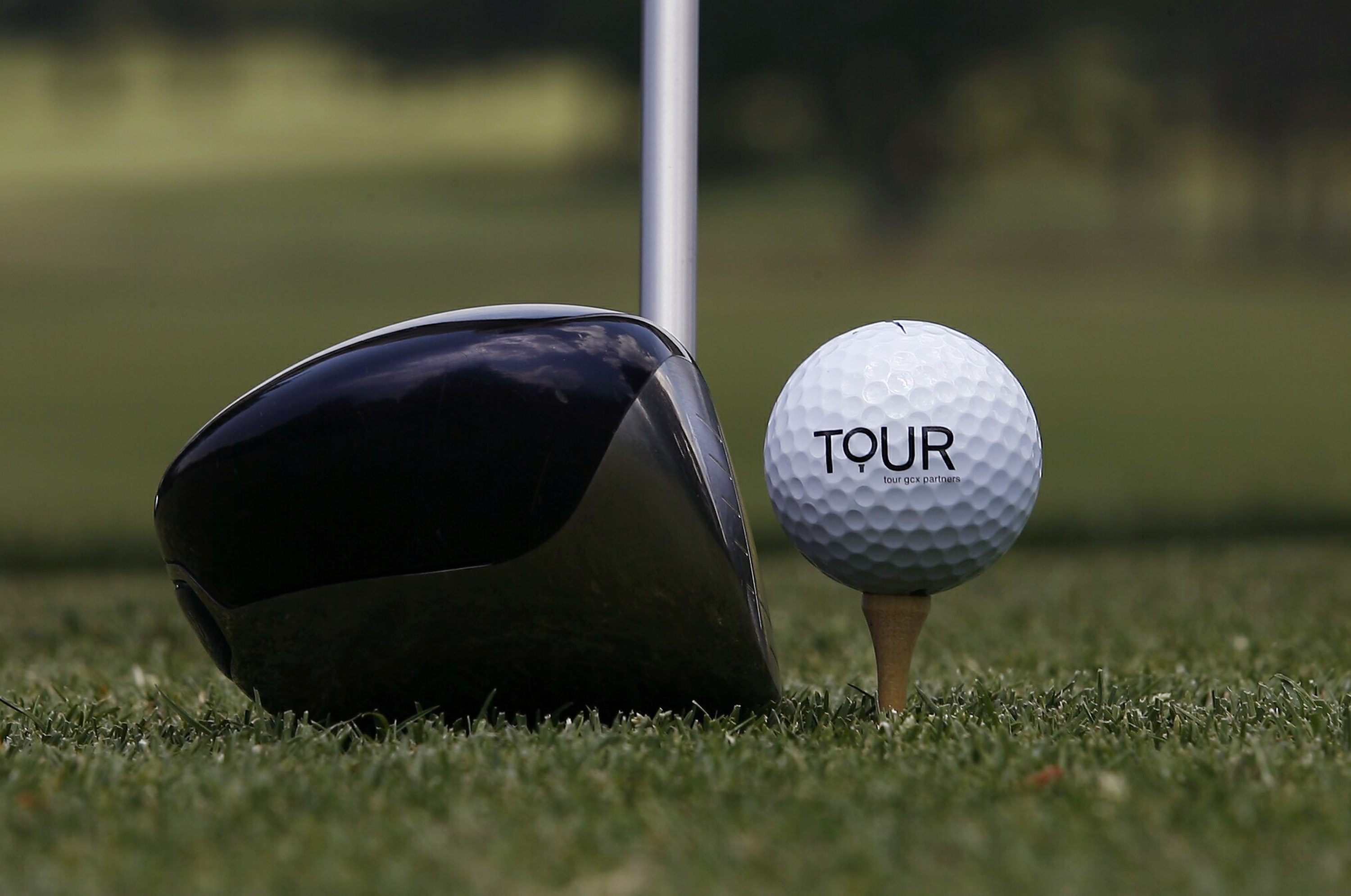 David Kaufman avatar image