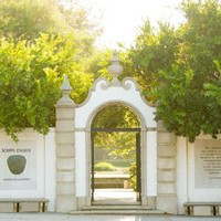 Merlene Singleton avatar image