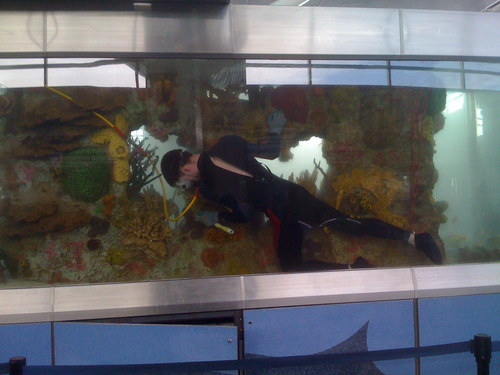 Justin Muir avatar image