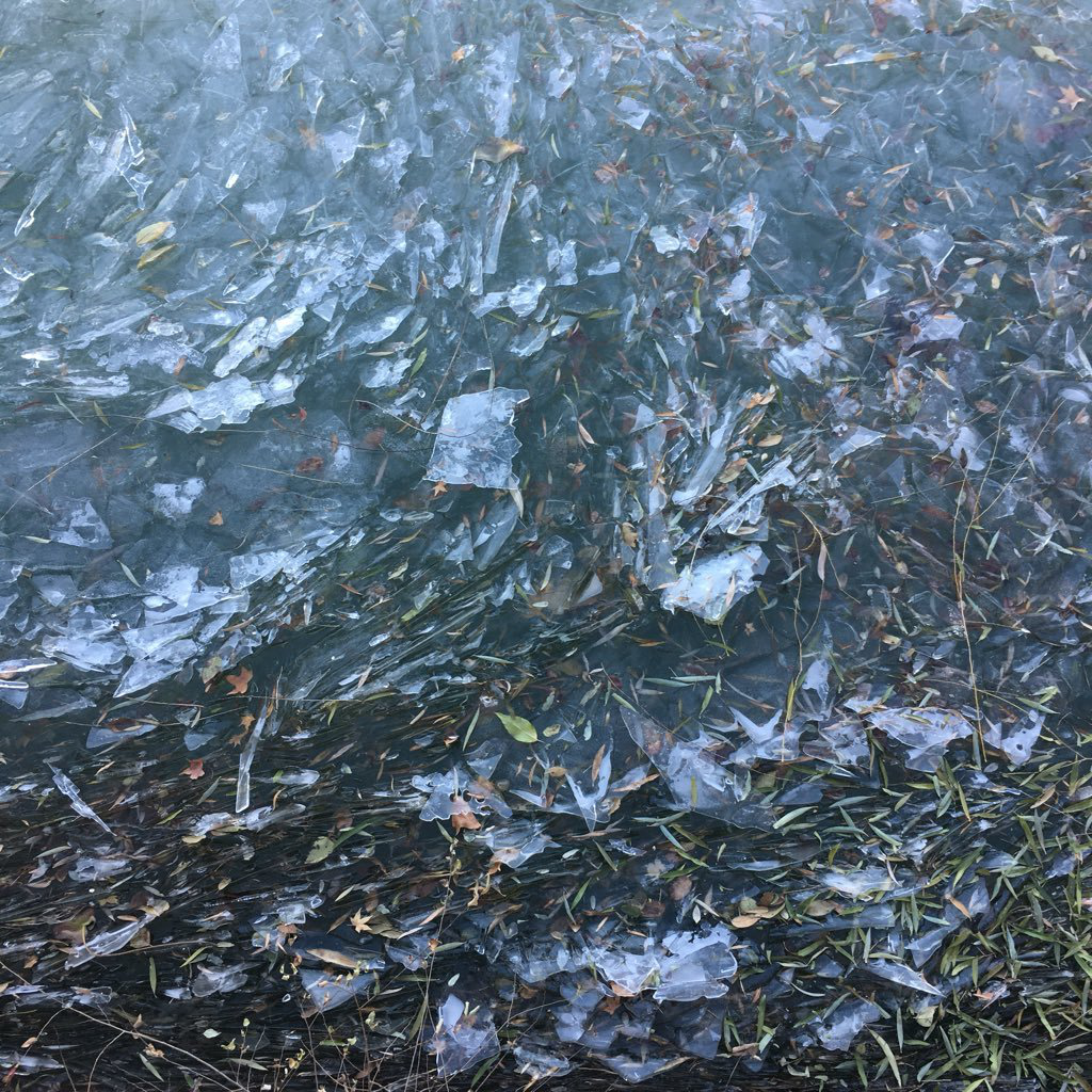 Stephanie Chen avatar image