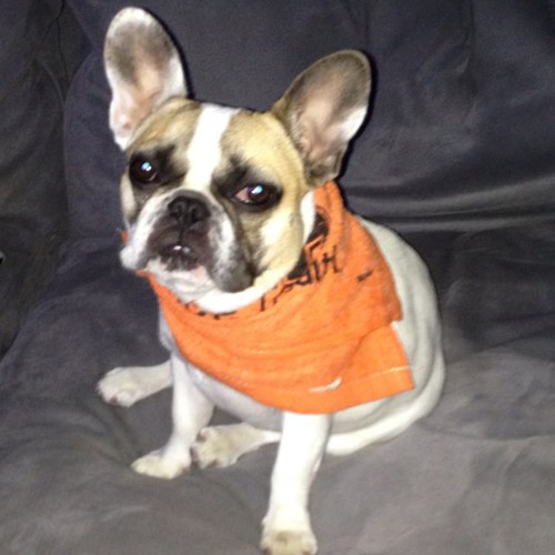 Justin Kunz avatar image