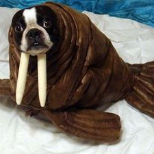 Richard Wener avatar image