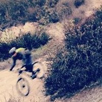 Rodolfo Saldana avatar image