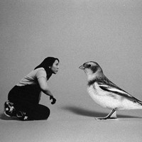 Elisabeth (Yoshi) Makishima avatar image