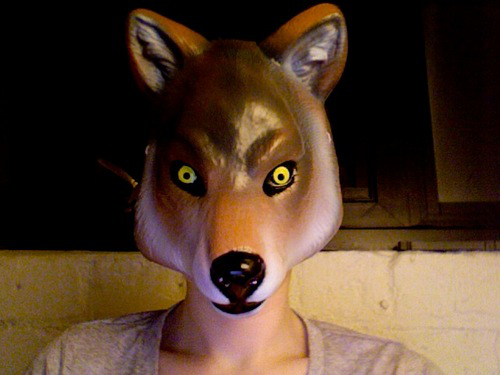 Paula Burke avatar image