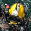 Mark Dunkley avatar image