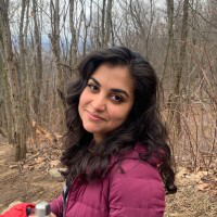 Roze Pirvany avatar image