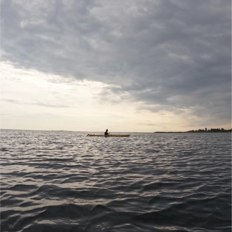 Liesbet Hauben avatar image