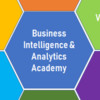 Business Intelligence and Analytics Academy avatar image