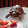 Keith Smith avatar image