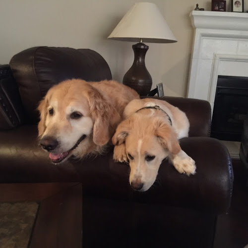 Beth Graves avatar image