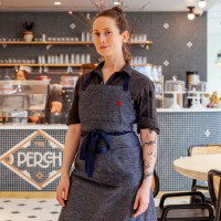 Dani Dillon avatar image