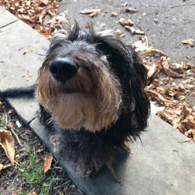 Edward Zouein avatar image